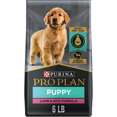 Photos - Dog Food Pro Plan Purina  Focus Puppy Lamb & Rice Formula Dry  6-lb 