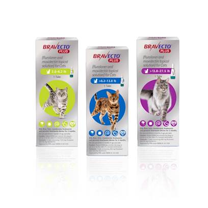 Bravecto Plus Topical for Cats