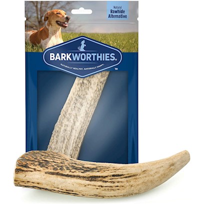 Barkworthies Whole Elk Antler Dog Chew for Large Breed Dogs