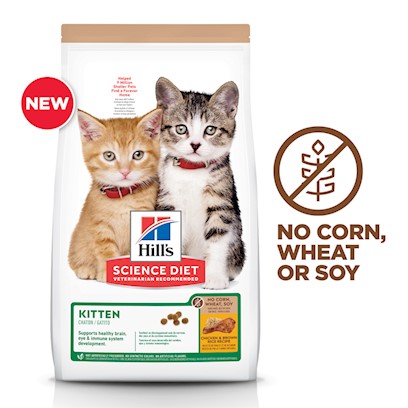 Hill's Science Diet No Corn, Wheat, or Soy Chicken Kitten Dry Cat Food