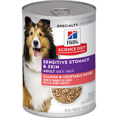 Hill's Science Diet Adult Sensitive Stomach & Skin Salmon & Vegetable Entree Canned Dog Food