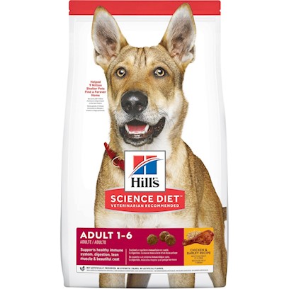 Photos - Dog Food Hills Hill's Science Diet Adult Chicken & Barley Recipe Dry  15.5 lb Bag 