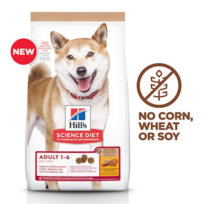 Photos - Dog Food Hills Hill's Science Diet No Corn, Wheat, Soy Chicken Adult Dry  15.5 lb 