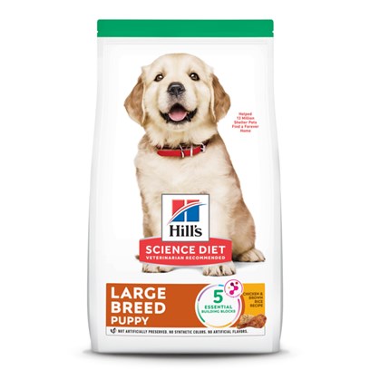 Hill's Science Diet Puppy Large Breed Chicken Meal & Oats Recipe Dry Dog Food