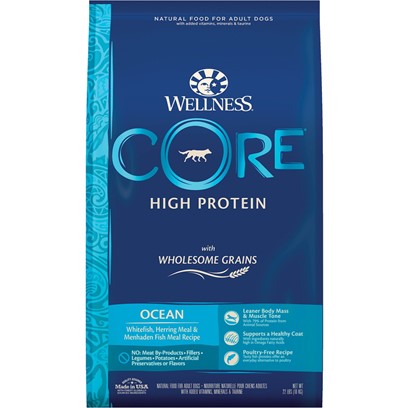 Photos - Dog Food Wellness CORE High Protein Wholesome Grains Ocean Recipe Dry  22-l 