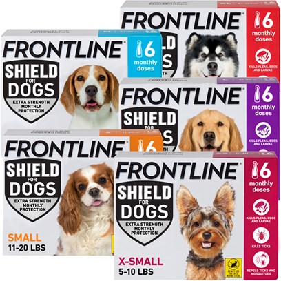 Frontline Shield for Dogs 