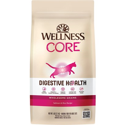 Wellness Core Digestive Health Salmon Recipe Dry Cat Food