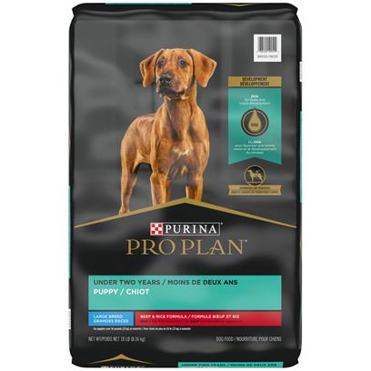 Buy Purina Pro Plan Development Beef & Rice Formula With Probiotics ...