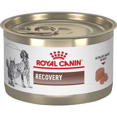 Photos - Dog Food Royal Canin Recovery Ultra Soft Mousse in Sauce Canned Cat &  5.1 