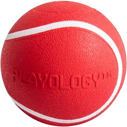 Playology Squeaky Chew Ball Beef Scented Dog Toy