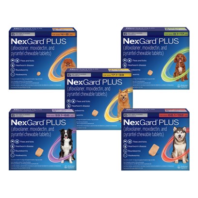 Nexgard over the sales counter