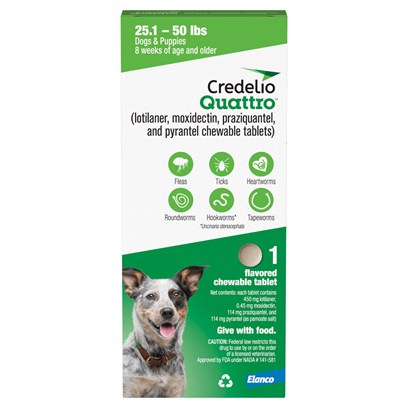 Credelio Quattro