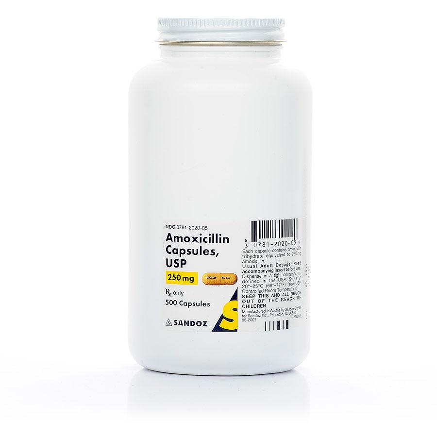 Amoxicillin Oral Capsules For Pets Antibiotic Petcarerx