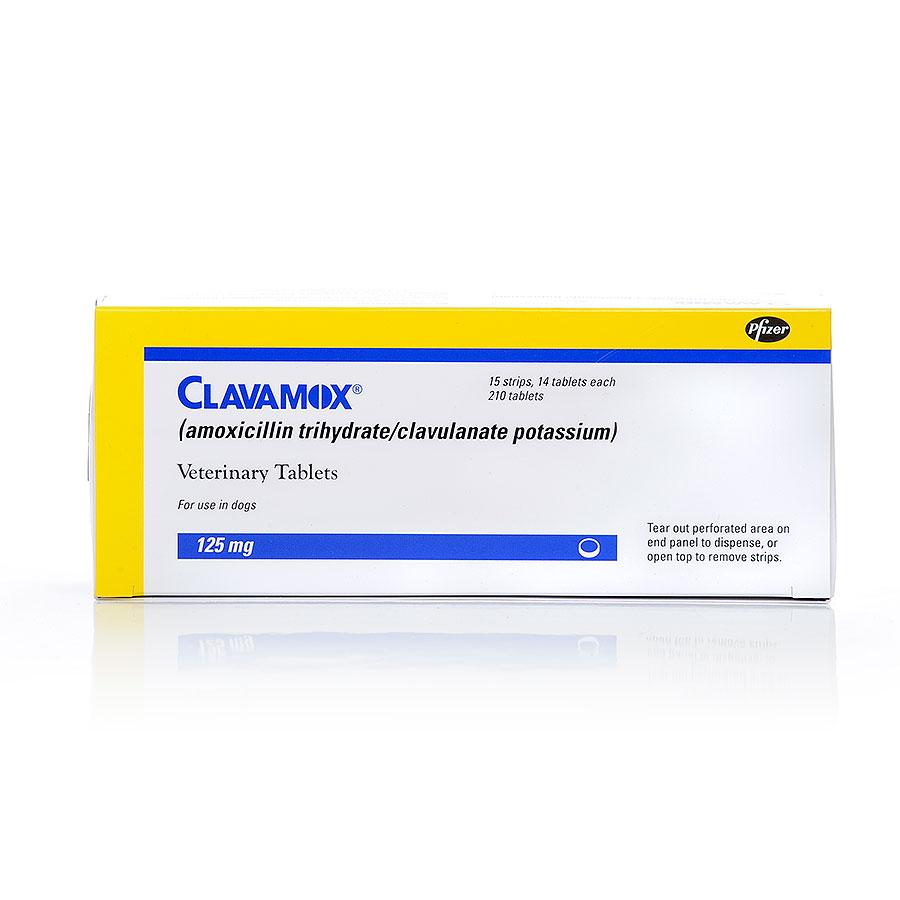 Clavamox Oral Antibiotic For Dogs And Cats Petcarerx