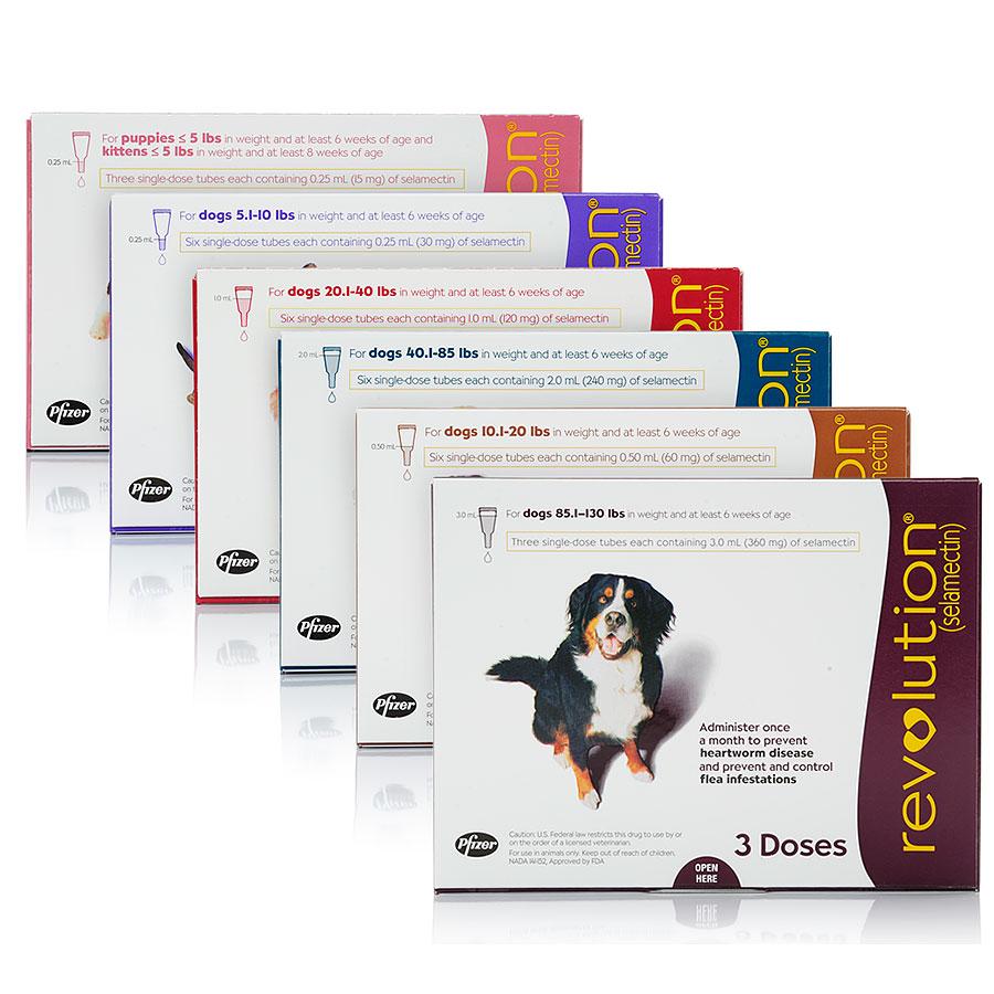 Revolution heartworm store flea and tick