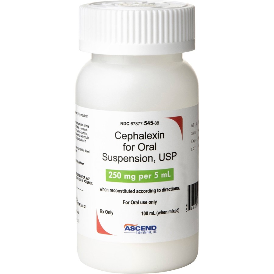 Cephalexin For Cats Upper Respiratory Dosage Cats In Boxes