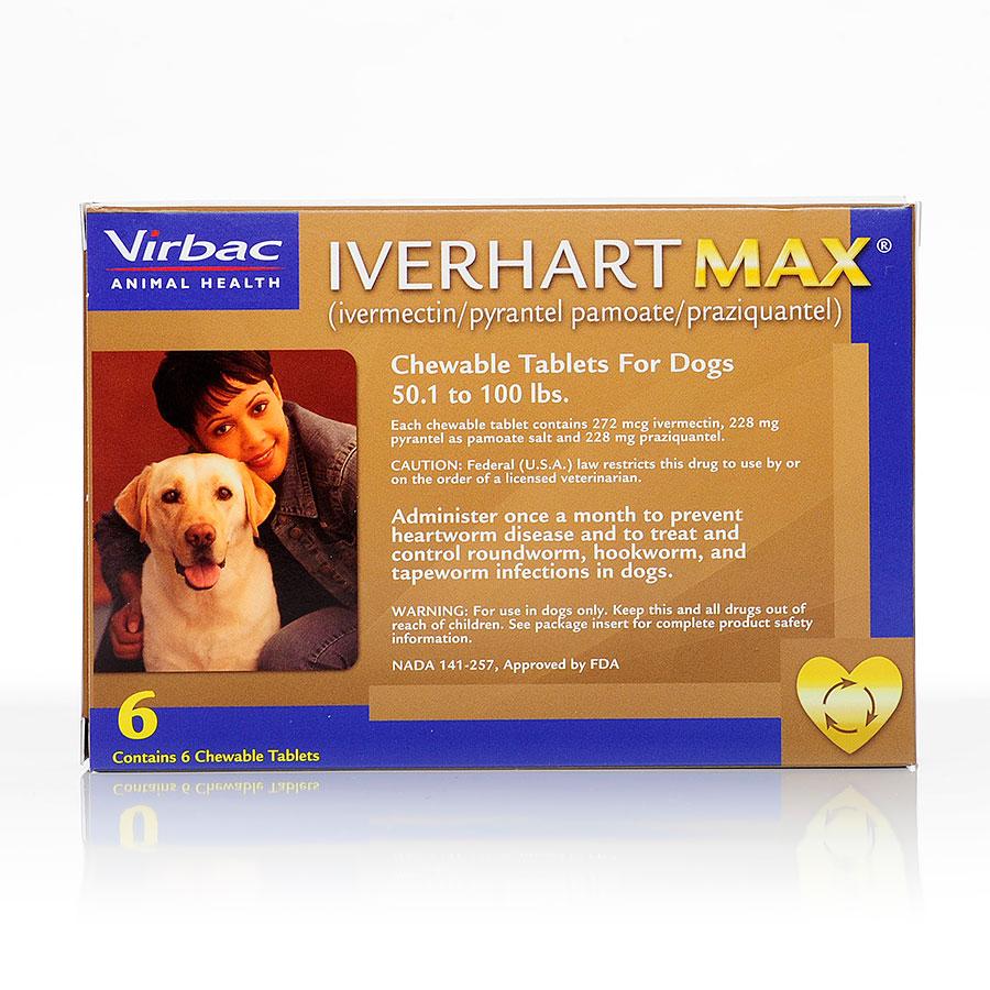 monthly heartworm medication