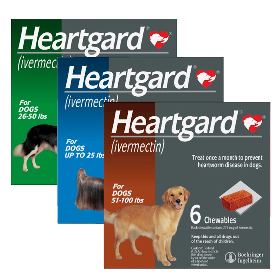 What Kind Of Heartworm Medicine Is Best For Dogs toxoplasmosis