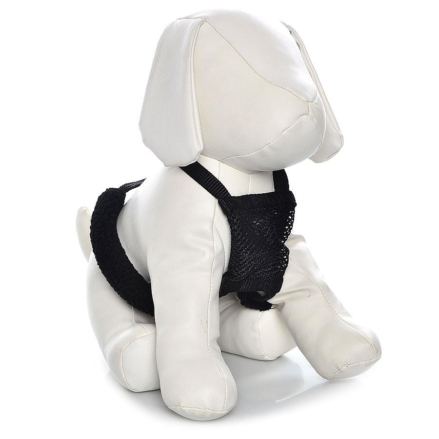 how to put a sporn harness on a dog
