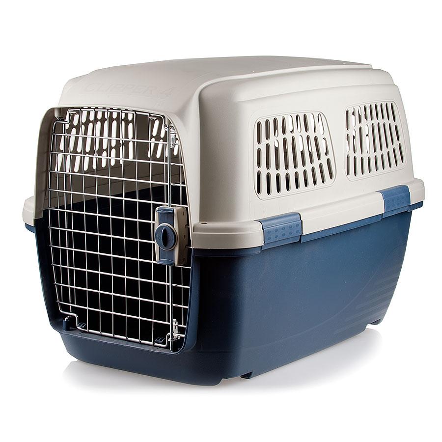 Everything You Need for Your Small Puppies PetCareRx