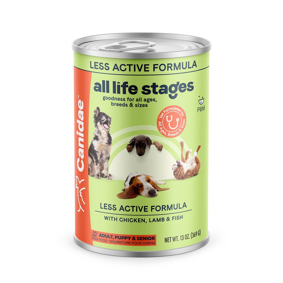 Active fashion senior dog food