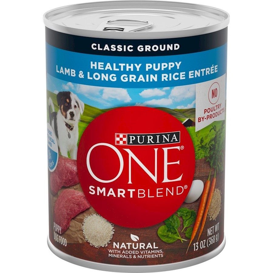 Purina puppy chow canned best sale