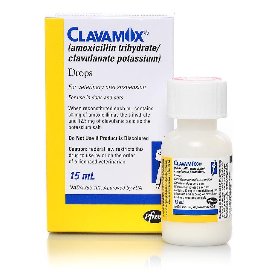 Clavamox Drops Oral Antibiotic For Dogs Cats Petcarerx