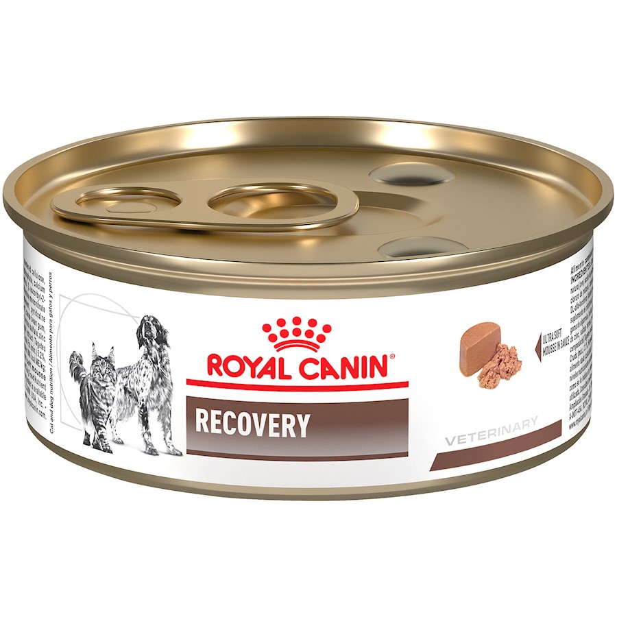 is royal canin good food