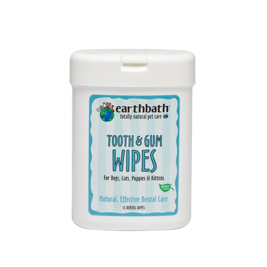 plaque tooth wipes