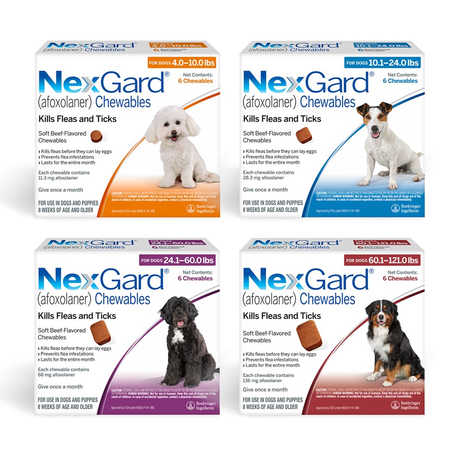 Nexgard Chewables For Dogs Flea And Tick Petcarerx