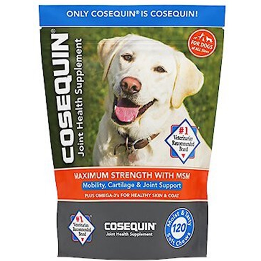 Cosequin ds maximum strength hotsell