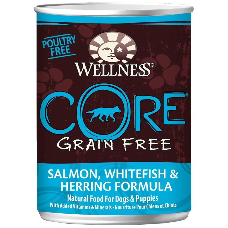 Buy Wellness CORE Grain Free Canned Adult Dog Food Online PetCareRx