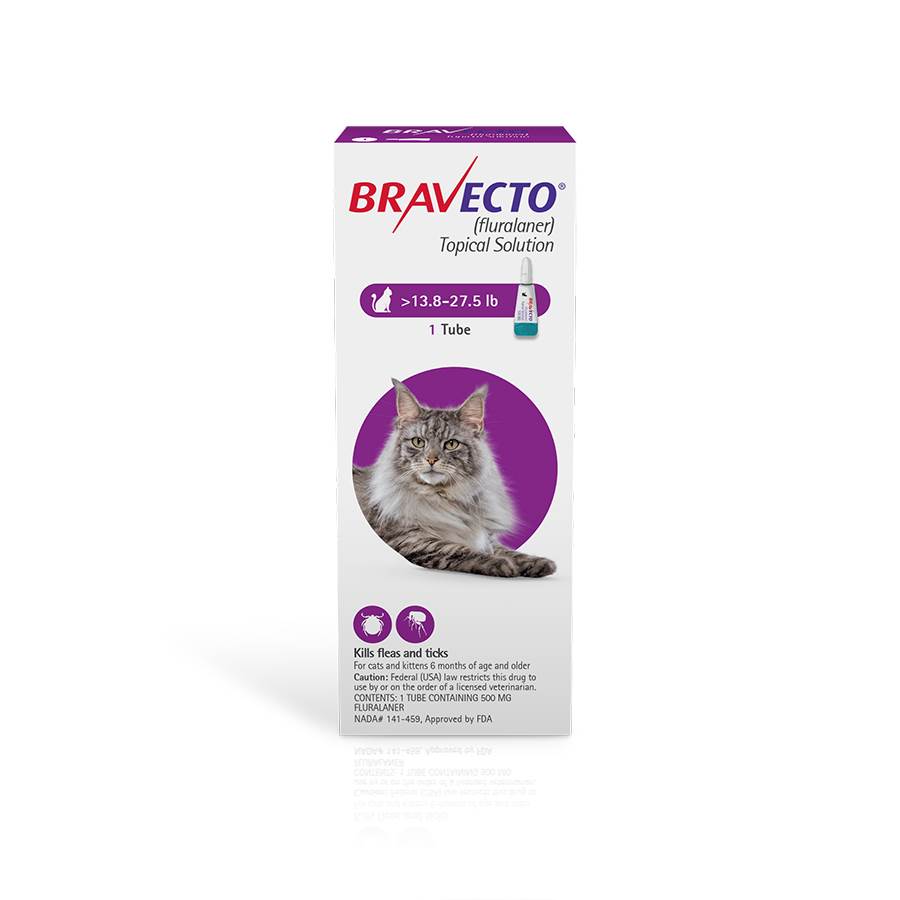 Bravecto Topical Solution for Cats 2.6 6.2 lbs