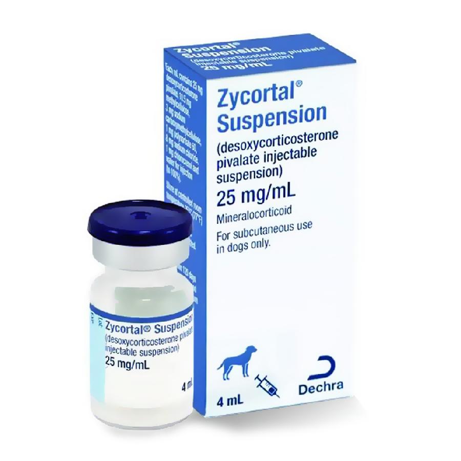 Injection Addison's Dog Treatment Adequan Canine Injections