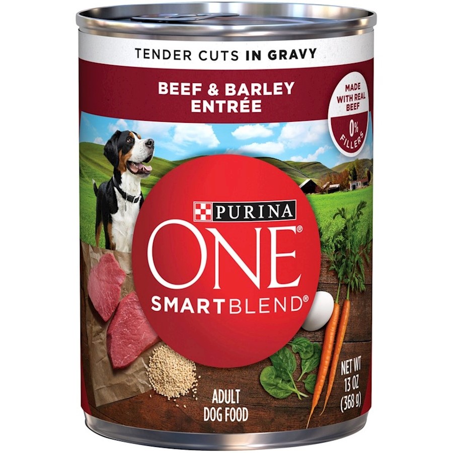 Buy Purina ONE Tender Cuts Wholesome Beef and Barley Canned Dog