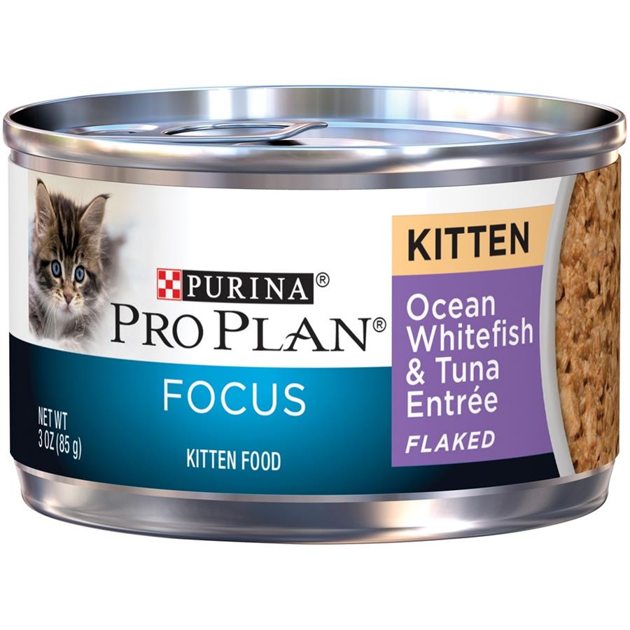 Buy Purina Pro Plan Focus Kitten Ocean Whitefish and Tuna Entree