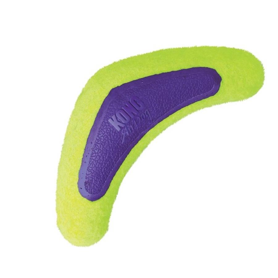dog boomerang toy