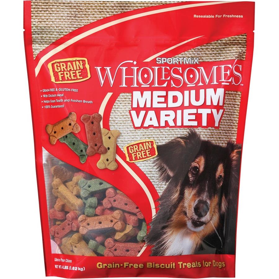 small retractable leash