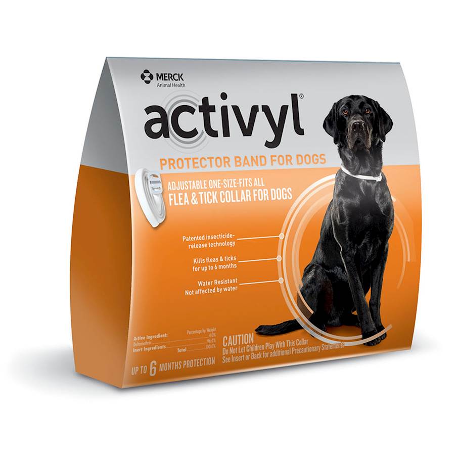 Activyl for cats fashion side effects