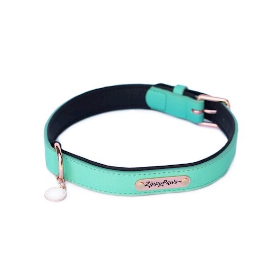 ZippyPaws Vivid Collection Teal Dog Collar ZippyPaws Vivid Collection Teal Dog Collar