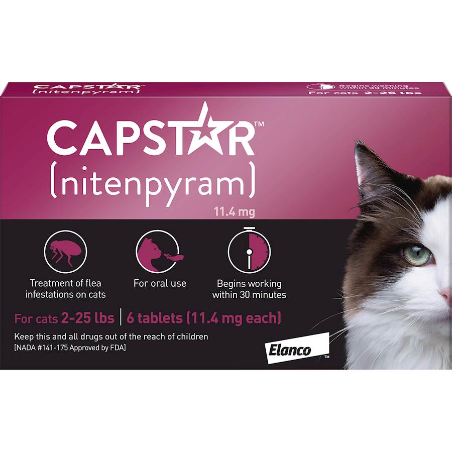 Capstar Flea Killer For Cats Stops Fleas Ticks In Cats Petcarerx