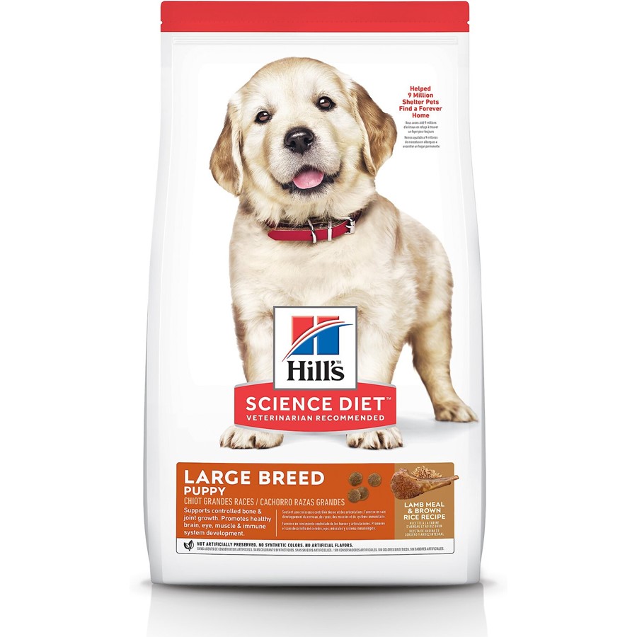 Buy Hill's Science Diet Puppy Large Breed Lamb Meal Brown Rice