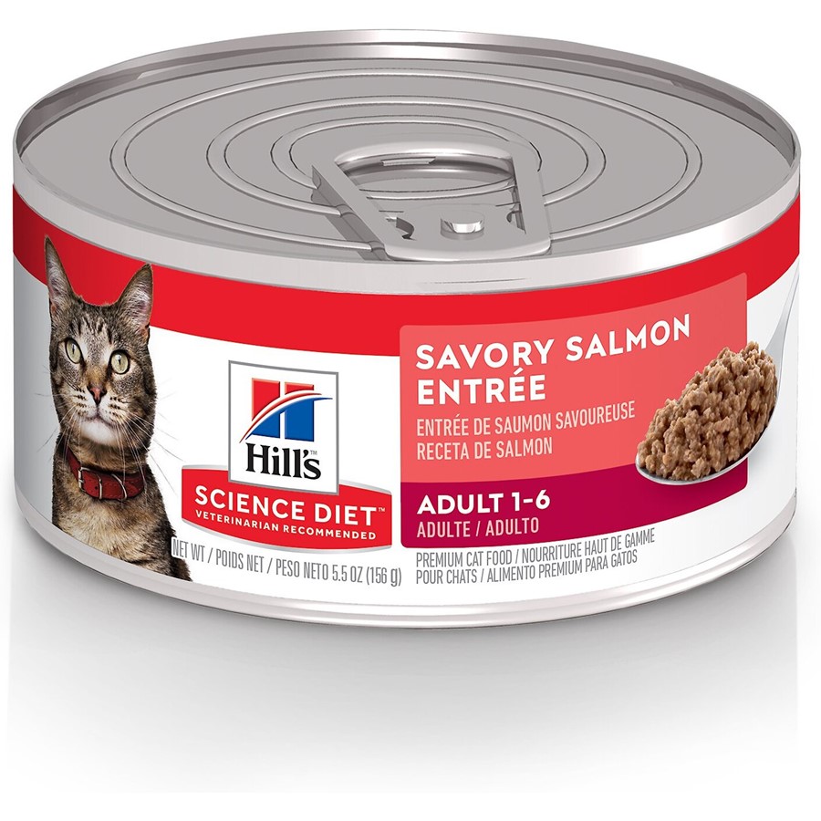 Buy Hill s Science Diet Adult Cat Savory Salmon Entree Canned Cat