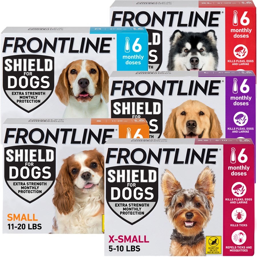 Frontline Shield For Dogs Stops Fleas Ticks In Dogs Petcarerx