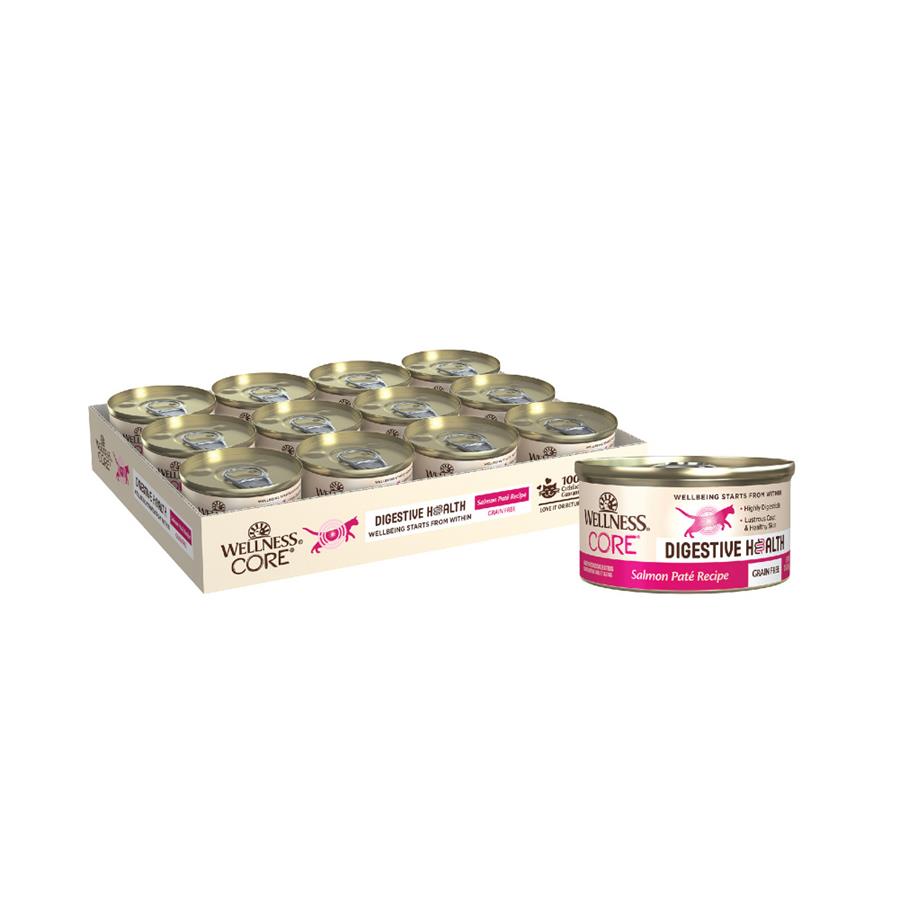 Wellness Core Digestive Health Salmon Pate Recipe Canned Cat Food