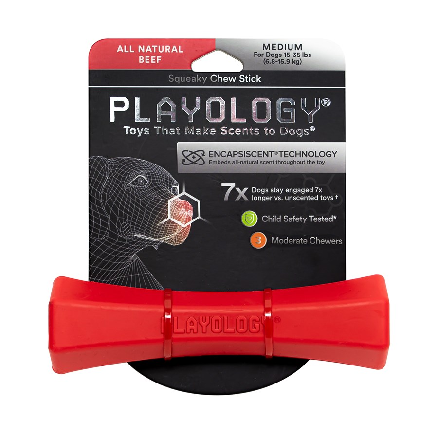 Buy Playology Squeaky Chew Stick Beef Scented Dog Toy Online