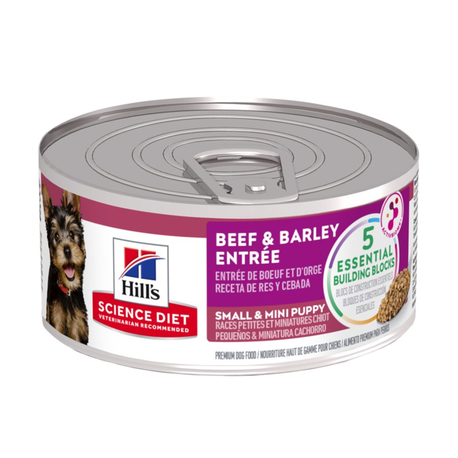 Buy Hill s Science Diet Puppy Small Mini Breed Beef Barley