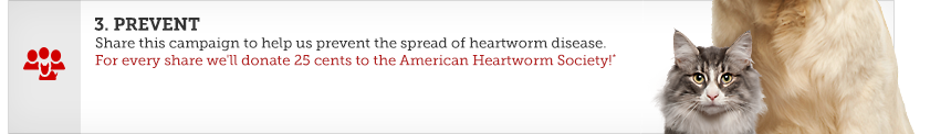 3. PREVENT - Share this campaign to help us prevent the spread of heartworm disease.For every share we'll donate 25 cents to the American Heartworm Society!*